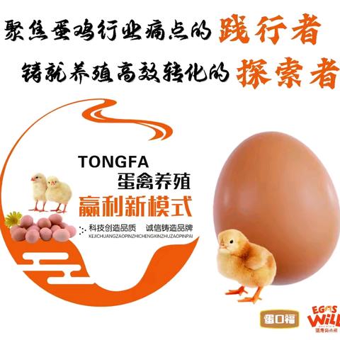 口感蛋 项目招合作伙伴！