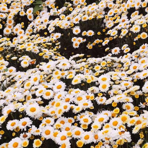 老友出行，不负秋光                       ——2023.10.28秋游漳河