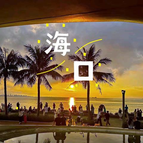 • 我与海口这座城 •