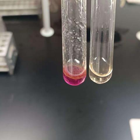 目录 43尹虹霞 医用化学基础实验报告和笔记，作业