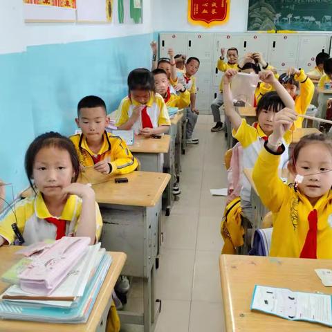 锡市第三小学2024—2025学年第二学期坚果科学实验课程总结