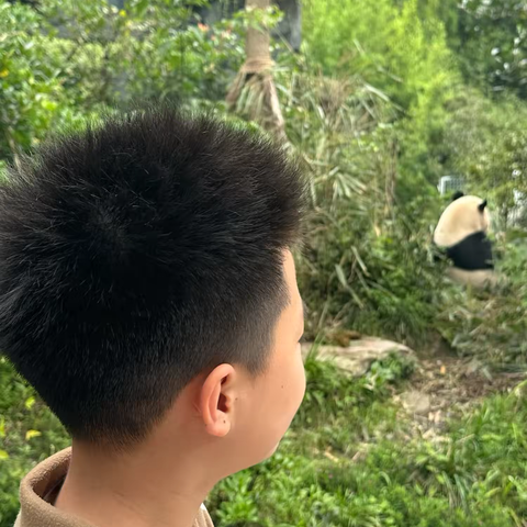 没作业的感觉真好