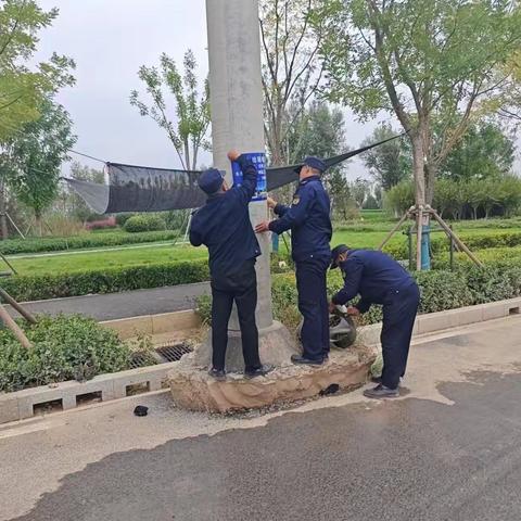 太平街道：“小广告”煞风景 专项治理提“颜值”