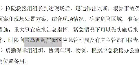 应急预案修改报告。根据您的意见，我们组织相关人员对预案中存在的问题进行了认真的修改，具体修改情况如下请您阅示。