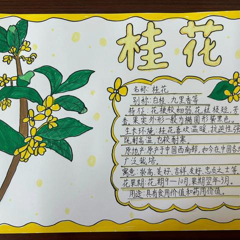 一花一鸟总关情