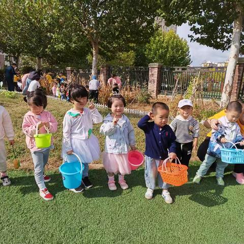 “落花而生”——新城实验幼儿园小二班大雪节气绿植课程