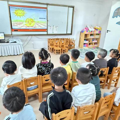 “邂逅玉米”——新城实验幼儿园小二班绿植活动