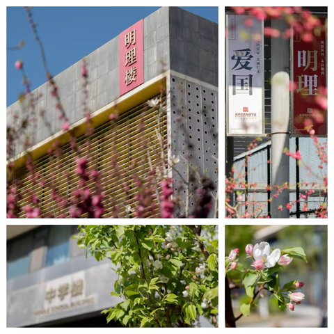 7年3班 3月份学习与生活掠影