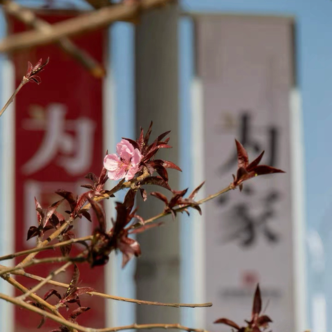八年级3班十一月份学习与生活掠影