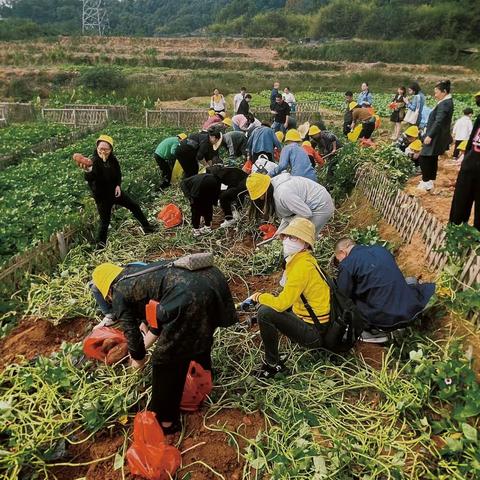 信州邮政开展“邮储欢乐之行 共享秋日乐趣”活动