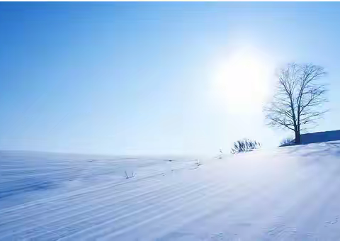 人间冬日芳菲尽 教坛新秀竞争妍 ——淅川县青年教师优质课（数学二组）县三小赛点活动纪实