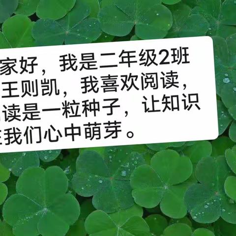 南街小学【学成语、讲典故】二年级（2）班王则凯——亡羊补牢