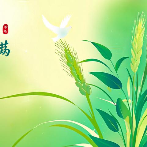 初夏迎小满，万物皆欢喜