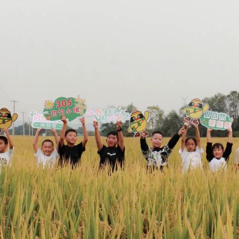 邂逅秋天，快乐“童”行—安吉县第六小学305班秋季研学活动【劲竹小组】