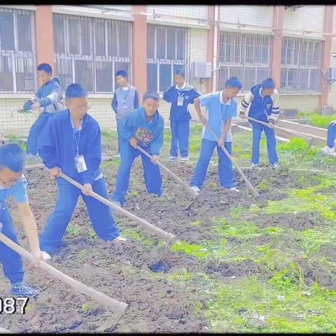 相约金秋，劳动最美 。                    ——榆树小学劳动实践活动