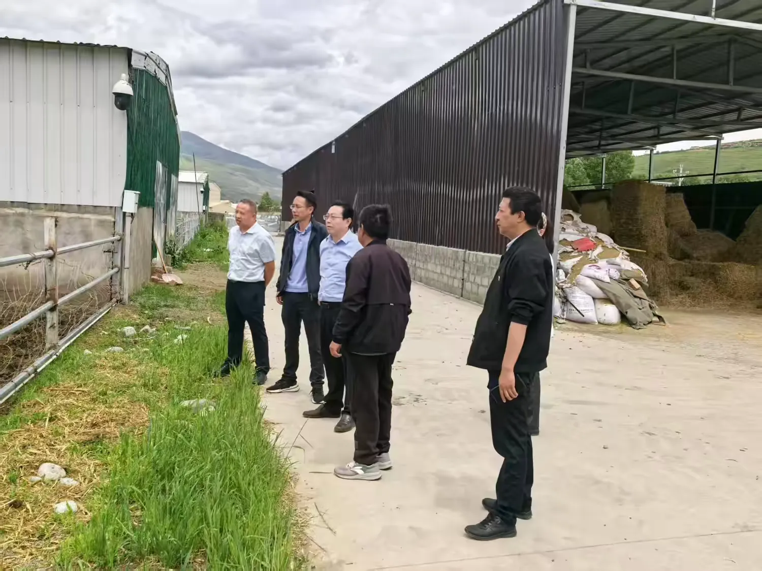 简篇-虾拉沱镇一周工作动态(6月16日-6月20日)