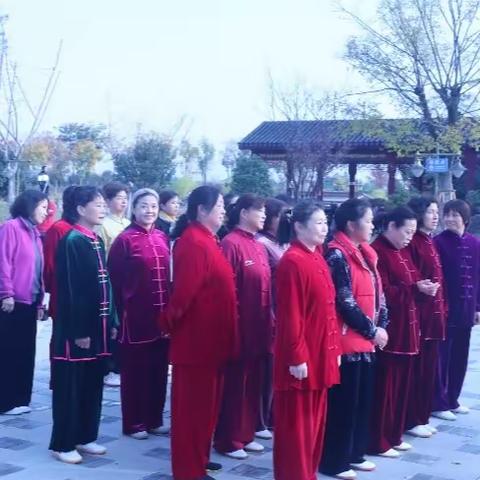 2023年黄陂区太极拳协会太极拳技能推广培训班在定远公园集训