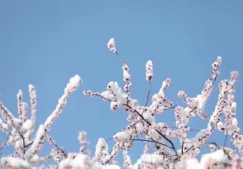 “雪”染的风采