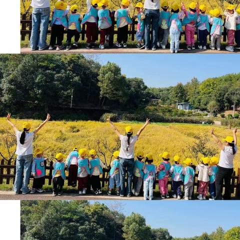 新合中心幼儿园秋季研学活动圆满结束✌️✌️
