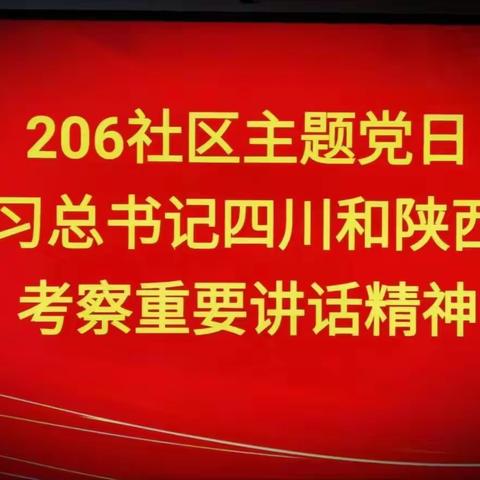 奋楫争先，逐梦而行——206社区召开7月份主题党日活动