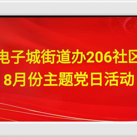 以学铸魂 以学增智 以学促干——电子城街办206社区召开八月份主题党日