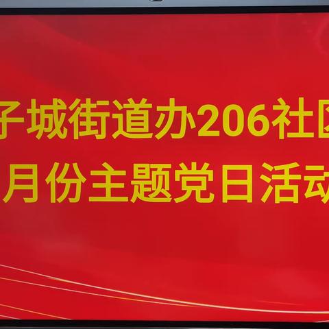 “学习‘浦江经验’、践行‘四下基层’” ——206社区党委召开十一月份主题党日活动