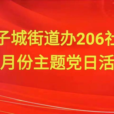 “凝心铸魂担使命 奋楫扬帆新征程” ——206社区党委召开二月份主题党日活动