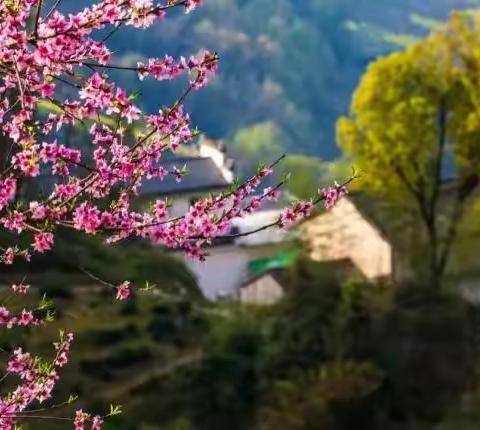 春雷响万物苏，又是一年惊蛰时——高新区西宽亭小学二十四节气之惊蛰