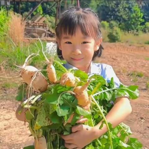 发现秋天的“秘密”—翠碧轩幼儿园秋游掠影