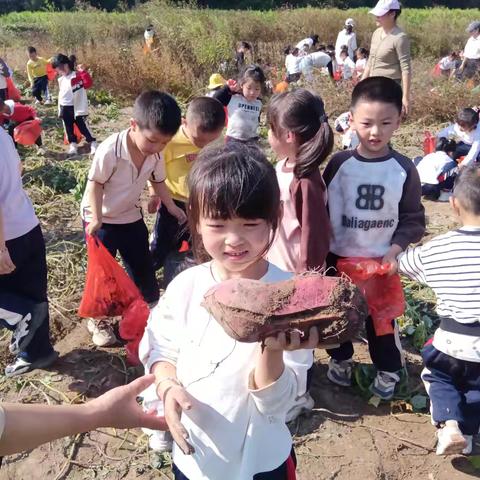 “悦”童年，“享”秋天 —— 东景幼儿园秋日旅行记