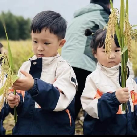 趣享时光，邂逅秋天 —— 维真俐幼儿园秋游活动