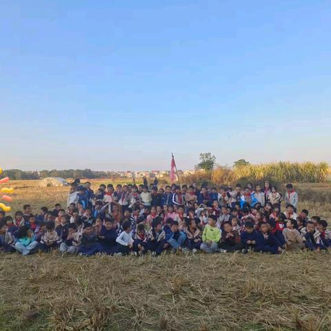 “踏秋野间，拾趣自然”。——凰岗镇中心学校本部三一班综合实践教育活动小记。