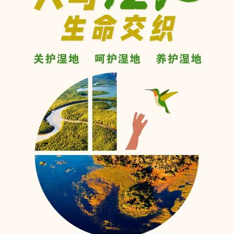 保护野生动植物，与生态同行，护美丽家园。