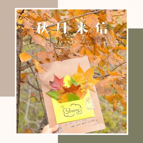 泸溪县明德幼儿园 🌼朵五班10月漫游记🌼