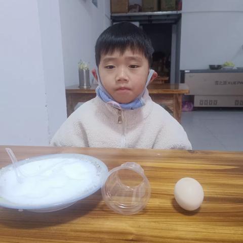 科学小实验《漂浮的🥚》