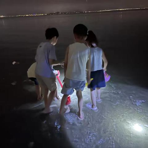 信成二（3）班暑期赶海实践记 夜晚海边的童趣探索