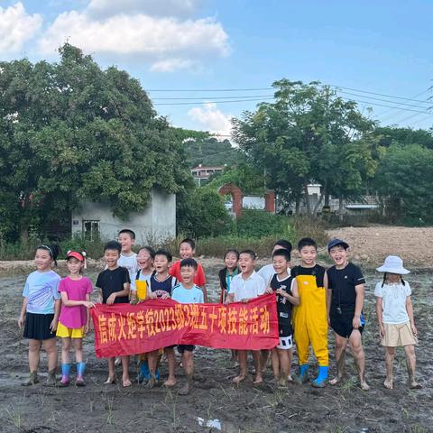 信成火炬 三（3）班 50项技能小组活动—— 躬身田垄，共赴一场“稻”梦之约🌾