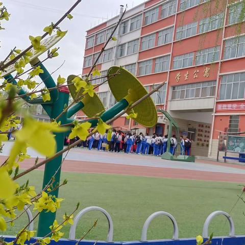 鸟语花香读书时，不负春日好时光———凉州区天马中学校园春景