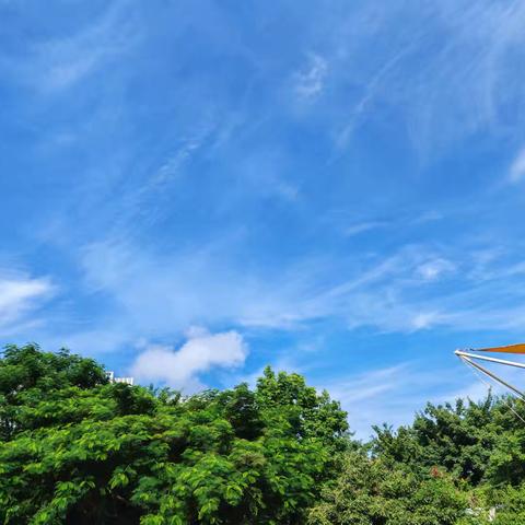 105班开学纪实 萌娃报到啦！一年级的小美好，正式启航～