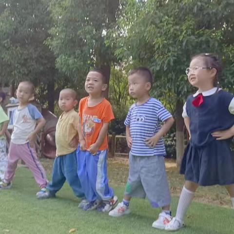 “暑”于我们的盛夏