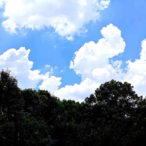 “暑”于我们的盛夏