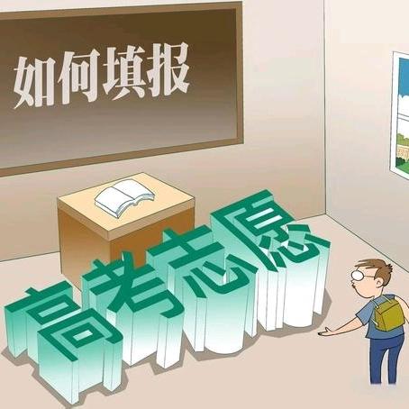 山东省考生一招学会高考报志愿
