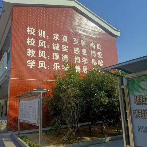 段庄小学课间掠影