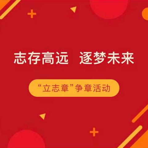 【府小德育｜少先队】立志章争章活动