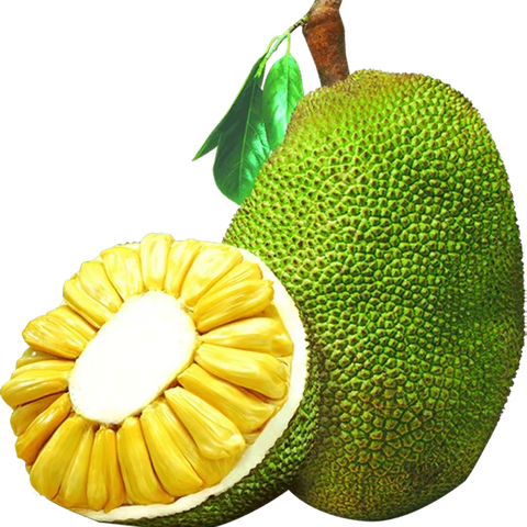 菠萝菠萝蜜，生活甜蜜蜜❤