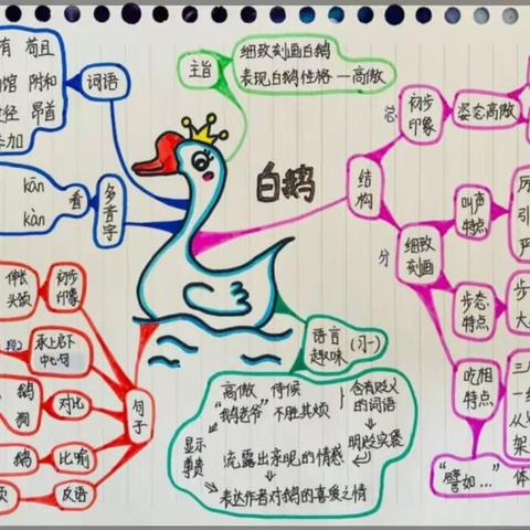 特色作业助成长  以画促学展风采——单县希望小学实践性主题活动