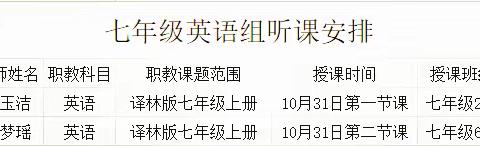 共思，共研，共成长——芒山一中、条河一中七年级英语教研活动