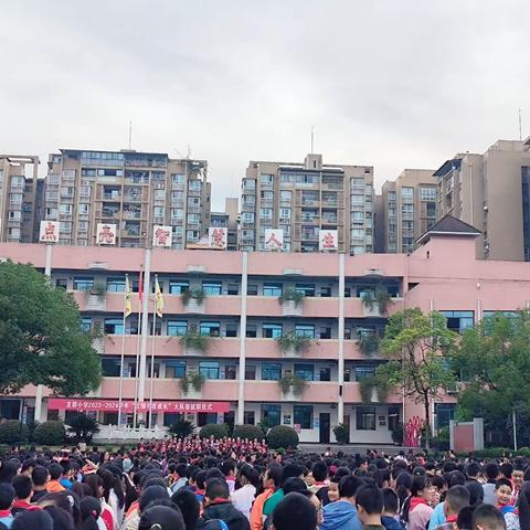 学段转换同中有异 兼收并蓄提升能力 ——龙都小学关于重庆师范大学2024届全科实习生第七周实习总结