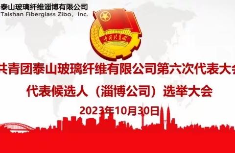 青春心向党 展望新未来             -泰山玻纤淄博公司团员大会