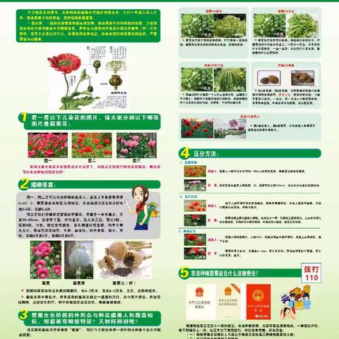 筑牢禁毒防线，共建平安社区